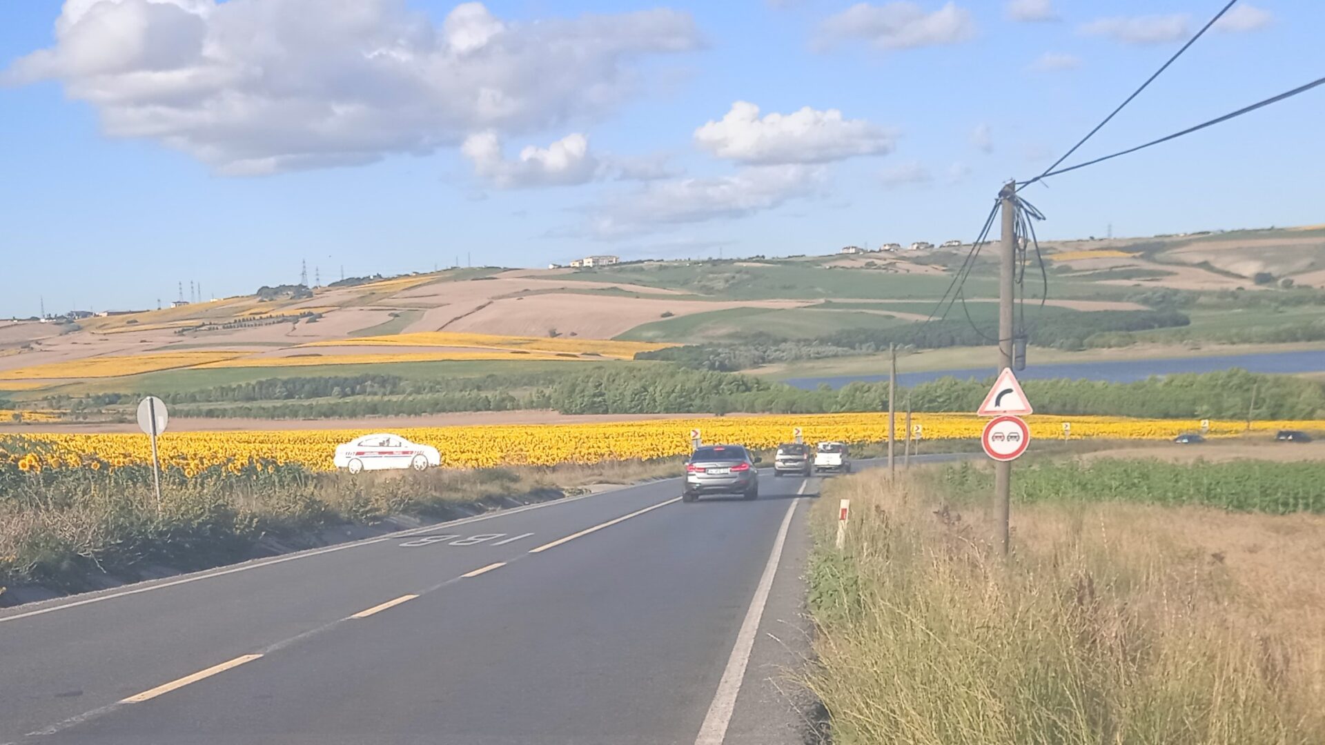 The sunflower region of Turkey (Thrace)